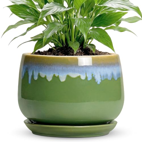Ceramic Flower Pots, 7 Inch Indoor Plant Pot, Green-Blue | Round Planters for Indoor Plants, Decorative Pots for Plants with Drainage and Saucer, Porch Living Room Decor, Plant Gifts - size: 7 Inch, style: Green-blue