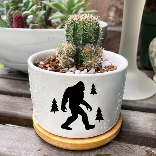 1Pcs Compatible with Bigfoot Planter Pots with Drainage, Tray, Ceramic Pot | Small Planters for Plants,Decoration for Outdoors,Home,Office,Window,Garden,Gifts for Women Men (No Plants Included) - style: Compatible with Bigfoot