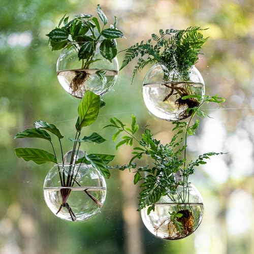 Window Propagation Stations, Oblate Glass Terrariums Planter with Suction Cup Hook, Wall Hanging Planters for Hydroponics Plants, Home, Office, Bathroom, Living Room Decor, Gift for Plant Lovers (2)