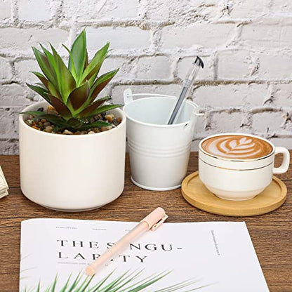 Hopewood Artificial Pineapple Succulents Plant with Ceramic Pot Wooden Tray | Faux Agave Succulent Plant in White Ceramic Pots, Potted Artificial Plants for Home, Office Desk and Bathroom Decor - size: 1 Set Pineapple