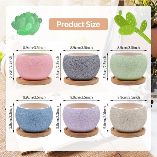 6 Pack Ceramic Succulent Pots with Drainage – Small Round Planters for Indoor Plants & Cactus, Mini Flower Pots with Bamboo Trays, Desk & Home Décor, Gift for Plant Lovers, Office, Balcony, Garden - style: Round