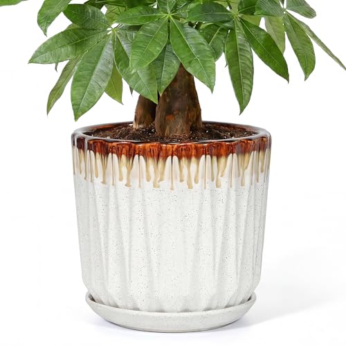 10 Inch Ceramic Planter Pot with Saucer Drainage Leak-Proof Mesh,Flower Pots for Indoor Plants with Gardening Gloves,Ceramic Planter(Linen White) - color: Linen White, size: 10 Inch