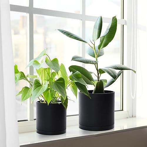 D'vine Dev 3-Pack Plastic Pots & Saucers, 4.5/5.5/6.5 in, Black, 74-V-B-2 | Multi-Size Options, Lightweight Durable, Matte Finish, Cylinder Shape, Drainage Holes, Sleek Design, Detachable Saucer - color: Matte Black, size: Small Plus