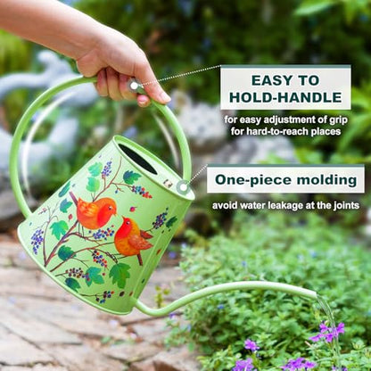 Berry&Bird 2L Long Spout Watering Can, Stainless Steel Water Can (Robin) | 2L stainless steel watering can, long narrow spout, elegant print, curved handle, leakproof, houseplant watering & decor - color: Robin