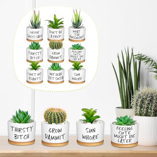 9 Pcs Funny Succulent Pots Ceramic Planters Bamboo Tray,Funny | Cute Aloe Cactus Planters with Drainage, White Mini Pots for Indoor Desk Decor, Birthday Housewarming Gifts for Women