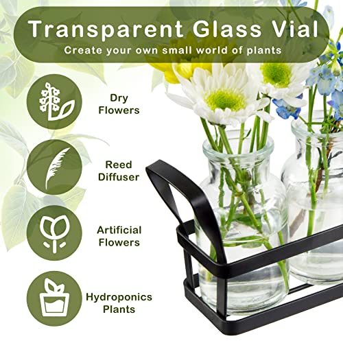 Propagation Stations Indoor Decor Planters Terrarium with Stand,Propogation Planter Glass with 5 Air Plant Terrarium for House Plants Hydroponic Home Garden Office Decoration