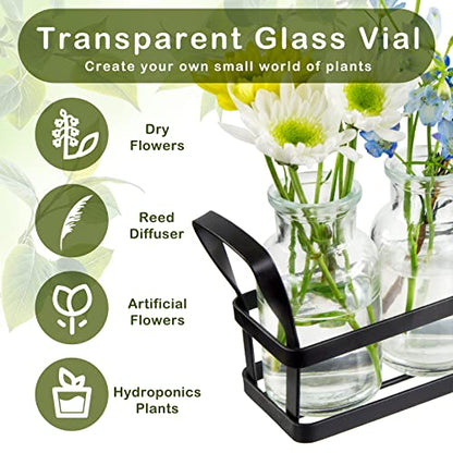Propagation Stations Indoor Decor Planters Terrarium with Stand,Propogation Planter Glass with 5 Air Plant Terrarium for House Plants Hydroponic Home Garden Office Decoration