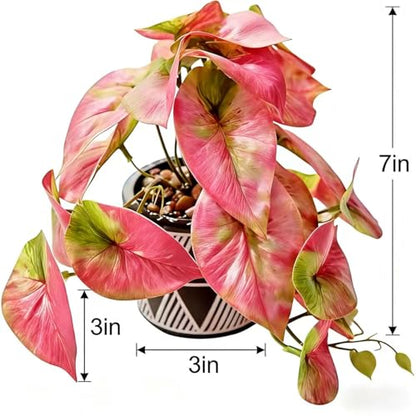 7" Artificial Red Caladium Plant in Geometric Ceramic Pot Lifelike Variegated Faux Potted House Plant 8" Wide Desk Shelf Bathroom Home Office Decor - color: Red