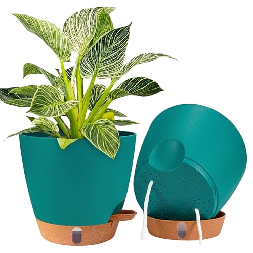2 Pack 8 inch Plant Pots, Plastic Self Watering Planters | Drainage Holes, Deep Reservoir, Water Level Indicator, Modern Decorative Flower Pots for Indoor Outdoor Plants (Turquoise) - color: Turquoise, size: 8 Inch