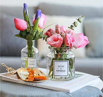 Glass Bud Vase Set Nordic Clear Glass Bud Flowers Apothecary Jars Mini Desktop Table Vases Decorative Glass Bottles Centerpiece for Wedding Craft Art Living Room Home Decoration (8.5oz-1pc) - size: 8.5oz-1pc