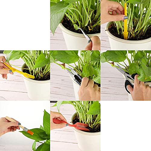 Haofy 13PCS Mini Gardening Tools Set for Succulents Planting Transplanting Tool Kit with Stainless Steel Scissor Tweezers Brush for Bonsai Indoor Plants