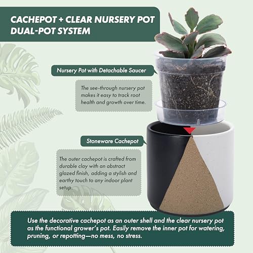 D'vine Dev 2-Pack Cachepot with Clear Pot, 4.5 in, Midnight Mesa, 93-V-B-2 | Dual-Pot System, Root Visibility, Bottom Watering Support, Enhanced Drainage, Artistic Stoneware Design, Easy Plant Care - color: Midnight Mesa, size: 4.5” Cachepot + 4“ Clear Gr