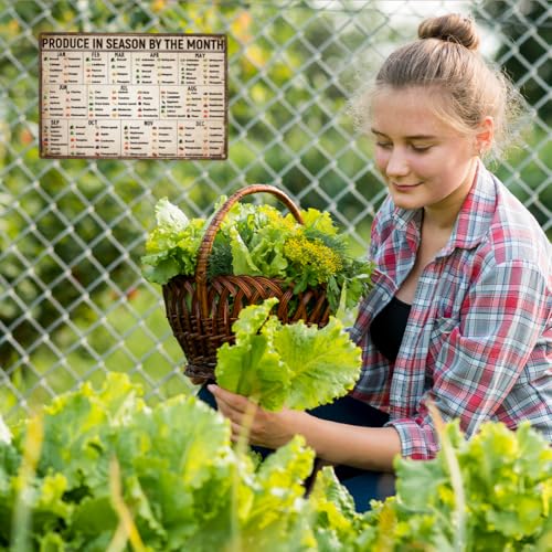 Vegetables Knowledge Metal Tin Signs 0.79×1.18inch Retro Season Fruit Sign Produce In Season By The Month Sign Food Art Poster for Room Garden Yard Home Farmhouse Wall Decor - style: Season Fruit