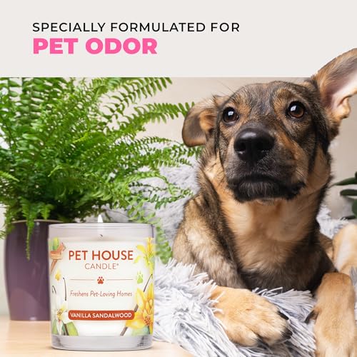 Pet House Candles, Clean Burning, Long Lasting Pet Odor Candles, Plant-Based, 60 Hour Burn Time - Tropical Fruit, 9 oz, 2 Pack - color: Tropical Fruit, size: Pack of 2