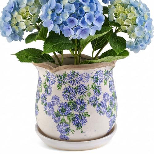 Ceramic-Planters-for-Indoor-Plants with Saucer, 6 inch Vintage Ice Crackle Glaze Plant Pots with Drainage Holes, Decorative Flower Pots for Outdoor Garden Home Decor, Tuscan Pot for Plant - color: Blue Meadow