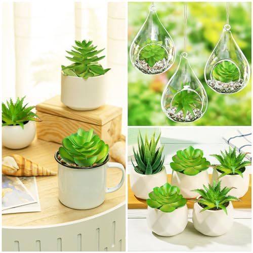 Fake Succulent Plants, 6pcs Mini Green Succulent Plants Faux, Artificial Succulents Plants for DIY Crafting Home Floral Wall Office Decoration (excluding pots)