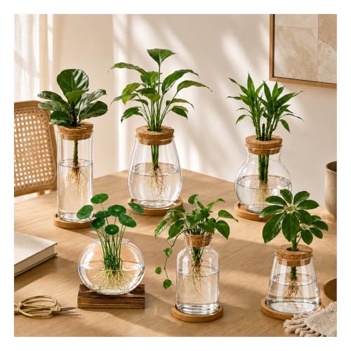 6 Pcs Plant Propagation Station Set, Glass Propagation Vases for Plants with Wooden Lids & Bamboo Stands, Hydroponic Vase Jars for Plant Cuttings, Terrarium Planters for Desk, Home Office Decor