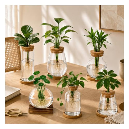 6 Pcs Plant Propagation Station Set, Glass Propagation Vases for Plants with Wooden Lids & Bamboo Stands, Hydroponic Vase Jars for Plant Cuttings, Terrarium Planters for Desk, Home Office Decor
