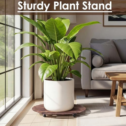 Novabright 20” Wooden Rolling Plant Heavy Duty Dolly Caddy with Locking Wheels Heavy Duty Wooden Plant Dolly Mobile Stand for Large Pots Small Furniture Outdoor(1pcs) - size: 20 Inch