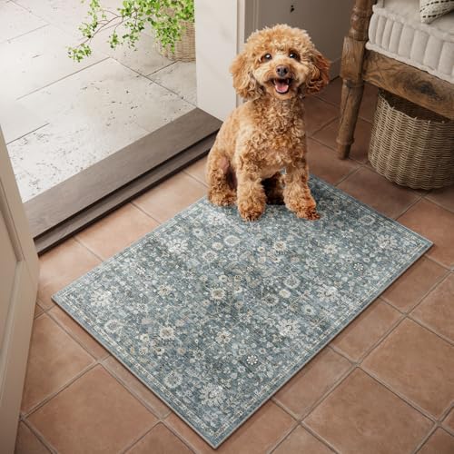 Washable Small Area Rugs for Entryway: 2x3 Door Mat Indoor Entrance | Boho Rug,Vintage Distress,Non-Slip,Low Pile,Soft,Throw,Carpet,Bathroom,Kitchen,Hallway,Nursery,Bedroom,Farmhouse Decor - color: Cyan/Golden/Multi, size: 2' x 3' (Rectangular)