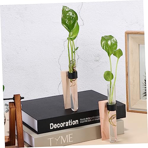 Happyyami Hanging Hydroponic Planter Set Air Plant Wall Holder Indoor Plant Vase Wall Mount Propagation Station