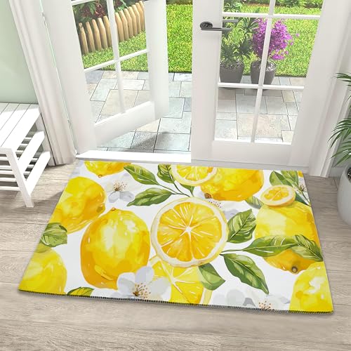 Door Mat, Tropical Watercolor Lemon Front Door Mat 17''x30'', Doormats Indoor Entrance, Welcome Entry Mat,Outdoor Welcome Mat,Low-Profile Floor Rugs for Entry Patio - color: Cute Lemon Citrus Watercolor