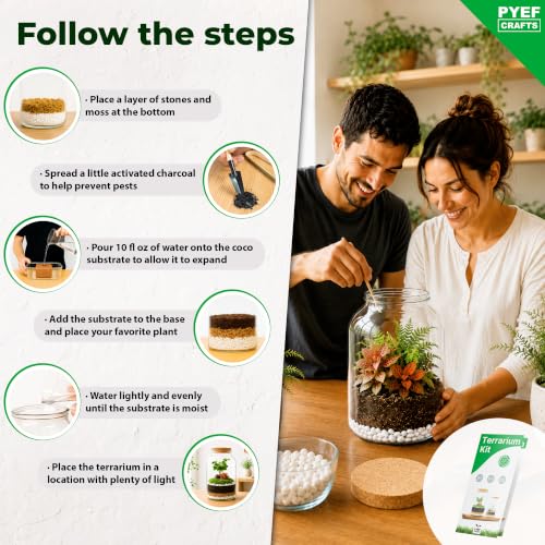 Terrarium Kit for Plants DIY (1 Gallon) | Starter Pack – Closed Ecosystem – 1 Gal Glass – Succulents, Air Plants, Bonsai, Indoor Plants – (Plants Not Included) - size: 1 Gallon