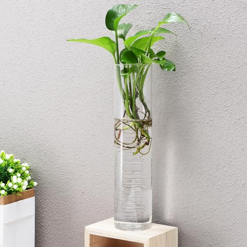 VALICLUD Vases Decor 2pcs Hanging Glass Cylinder Wall Propagation Station Set for Display Glass Tubes Accommodating Floral Compositions Modern Indoor Plants