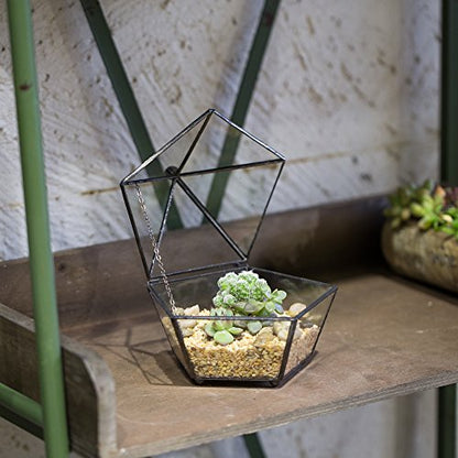 NCYP Small Glass Geometric Terrarium, Closed Jewel-Boxed Shape Container, Plant Succulent Planter Pot, Indoor Garden Decor, 5.3" x 5.3" x 4.5" (Terrarium Only)