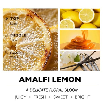 HomeLights Large jar Candle | 1-Wick Long-Lasting Scented Candles, 6.7oz Natural Soy Wax Candle for Home Scented, Eclectic Mixed Styles Gifts for Women & Men, Amalfi Lemon - color: Amalfi Lemon