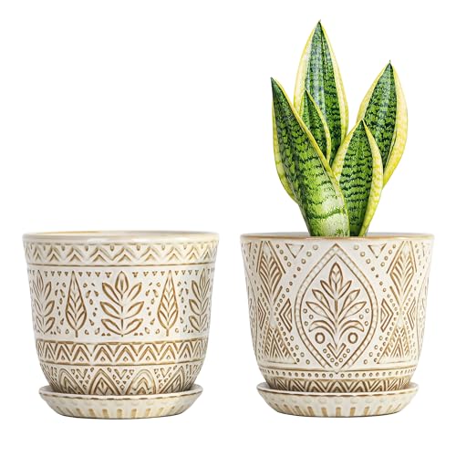 Gepege Ceramic Plant Pots, 6 Inch Indoor Planters with Drainage & Saucers | Ceramic pots for plants with drainage holes, ceramic saucers and mesh pads, ideal for flowers, herbs and succulents, set of 2 - color: White-b, size: 6 Inch - Set of 2