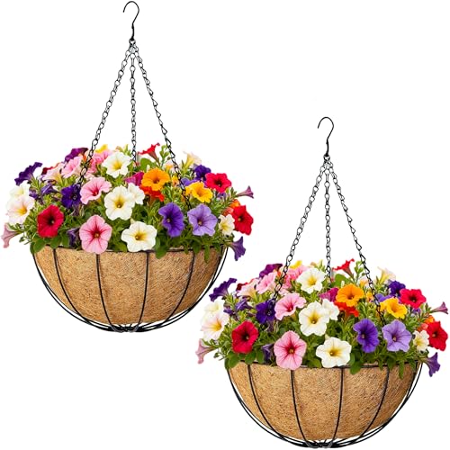 2 Pack Hanging Planters 12 Inch Metal Hanging Planter Basket Flower Pots with Coco Coir Liners Round Wire Plant Holder for Indoor Outdoor Patio Porch Garden Railings Decoration - color: Watermelon