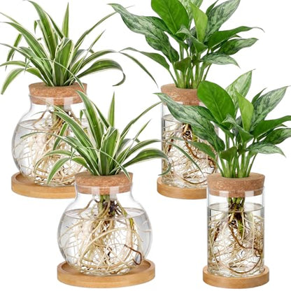 Layhit 4 Pcs Plants Propagation Stations vases Glass Planters with Wooden Lid and Bamboo Stand for Hydroponic Plants Gardening Gifts for Women Mom Home Office Tabletop Decoration(Funny Style) - style: Funny Style