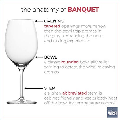Schott Zwiesel Tritan Crystal Glass Banquet Stemware Collection All Purpose Red or White Wine Glass, 10.1 Ounce, Set of 6, 0002.121593