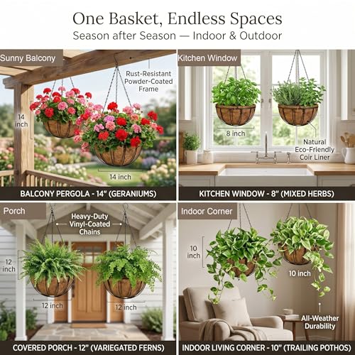 Kingbuy 8" Metal Hanging Basket for Small Succulents & Herbs – 5" Depth Rust-Resistant Wire with Coconut Liner & Chain for Kitchen Window, Balcony & Small Spaces - 1 Pack - size: 8 Inch, style: 1 Pack