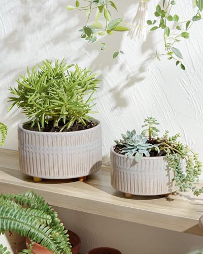 LE TAUCI Succulent Pots, 6.5+8 Inch Ceramic Indoor Plant Pot with Drainage Hole, Shallow Round Succulent Planters, Set of 2, Reactive Glaze Star White - color: Reactive Glaze Star White