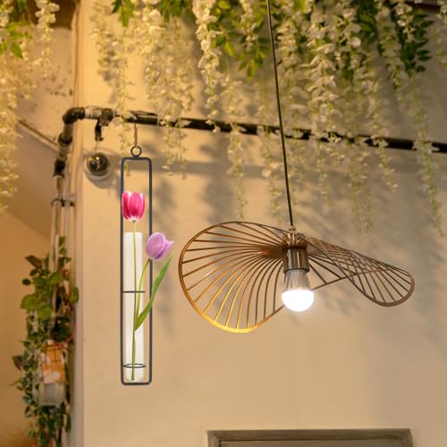 PATIKIL Plant Propagation Wall Hanging Terrarium with Metal Holder, 3 Sets Small/Medium/Large Glass Planter Tube Vase for Hydroponic Flower Office Bathroom Bedroom Decor, Black