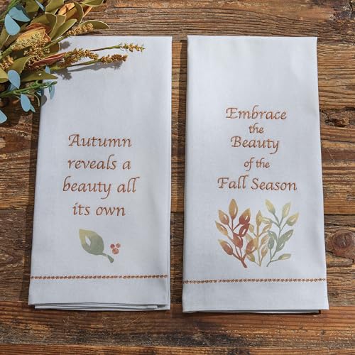 Park Designs Embrace The Beauty Dishtowel Set of 2 | 100% Cotton | Embroidered Fall Leaf Quote | Green to Yellow Ombre Print | Autumn Farmhouse Kitchen Decor - color: Embrace the Beauty Dishtowel Set of 2