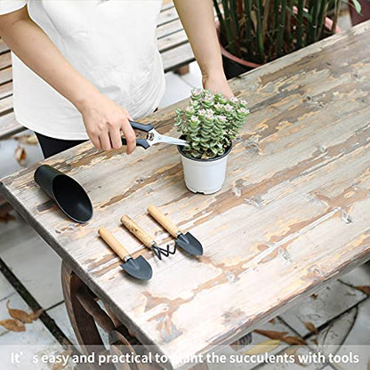 5 Pcs Succulent Tools, Mini Garden Tools, Small Indoor Plant Repotting Set | Pruning Scissors as Plant Accessories, Gardening Hand Tools Kit for Seedling Soil,Caring Succulent,Houseplant,Bonsai - style: Luxury Garden Tools