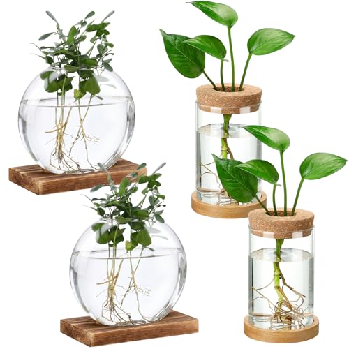 Layhit 4 Pcs Plants Propagation Stations vases Glass Planters with Wooden Lid and Bamboo Stand for Hydroponic Plants Gardening Gifts for Women Mom Home Office Tabletop Decoration(Novelty Style) - style: Novelty Style