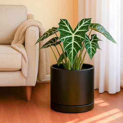 D'vine Dev 10 Inch Ceramic Planter Pot, Black, 94-O-E-2 | Modern Cylinder Design, Drainage Hole & Saucer Included, Stable Structure, Elegant Home Accent - color: Black, size: Large