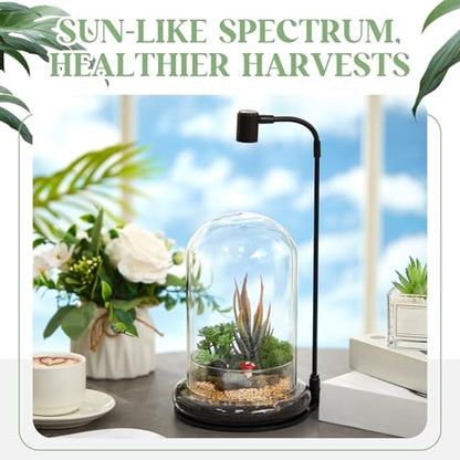 Plant Terrarium Kit with Grow Light, 4.8'' x 7.87'' Glass Dome Terrarium with Air Hole and Base, Succulent Air Planter Fern Moss Micro Landscape Vase for Home Office Tabletop Decoration