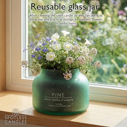 Pine Volcano Candle 19oz: 80-Hour Burn, Natural Refreshing Pine Scent, Hybrid Soy Wax, Crackling Wood Wick, Teal Matte Glass Jar, Gold Foil Gift Box by Spotless Candles - color: Pine 19, size: 19oz