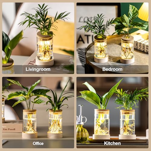 Glass Plant Propagation Stations, Propagation Vases for Plants with Ambient Light Base, Hydroponic Vase for Home & Office Windowsill Tabletop Decoration Desktop Vases for Living Room, Bedroom (9)