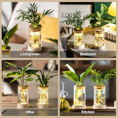Glass Plant Propagation Stations, Propagation Vases for Plants with Ambient Light Base, Hydroponic Vase for Home & Office Windowsill Tabletop Decoration Desktop Vases for Living Room, Bedroom (9)