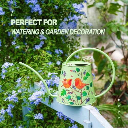 Berry&Bird 2L Long Spout Watering Can, Stainless Steel Water Can (Robin) | 2L stainless steel watering can, long narrow spout, elegant print, curved handle, leakproof, houseplant watering & decor - color: Robin