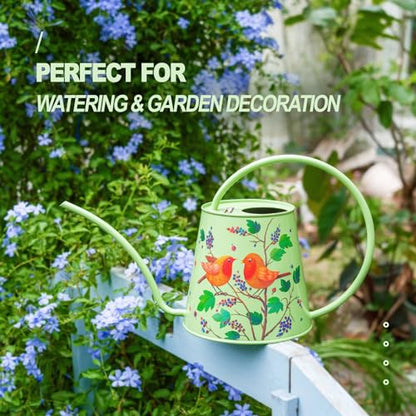 Berry&Bird 2L Long Spout Watering Can, Stainless Steel Water Can (Robin) | 2L stainless steel watering can, long narrow spout, elegant print, curved handle, leakproof, houseplant watering & decor - color: Robin