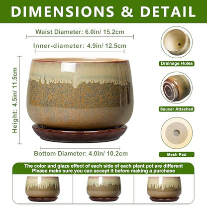 Ceramic Pots for Plants - 6 Inch Plant Pot Indoor with Drainage and Saucer, Round Planters for Succulent Snake Plants, Decorative Flower Pot, Home Decor, Plant Lover Gifts, Brown-Beige