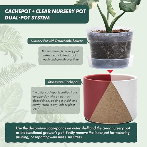 D'vine Dev 2-Pack Cachepot with Clear Pot, 6.5" Low, Crimson Dune, 93-V-D-4 | Dual-Pot System, Root Visibility, Bottom Watering Support, Enhanced Drainage, Artistic Stoneware Design, Easy Plant Care - color: Crimson Dune, size: 6.5” Cachepot + 6“ Clear Gr
