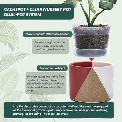 D'vine Dev 2-Pack Cachepot with Clear Pot, 6.5" Low, Crimson Dune, 93-V-D-4 | Dual-Pot System, Root Visibility, Bottom Watering Support, Enhanced Drainage, Artistic Stoneware Design, Easy Plant Care - color: Crimson Dune, size: 6.5” Cachepot + 6“ Clear Gr